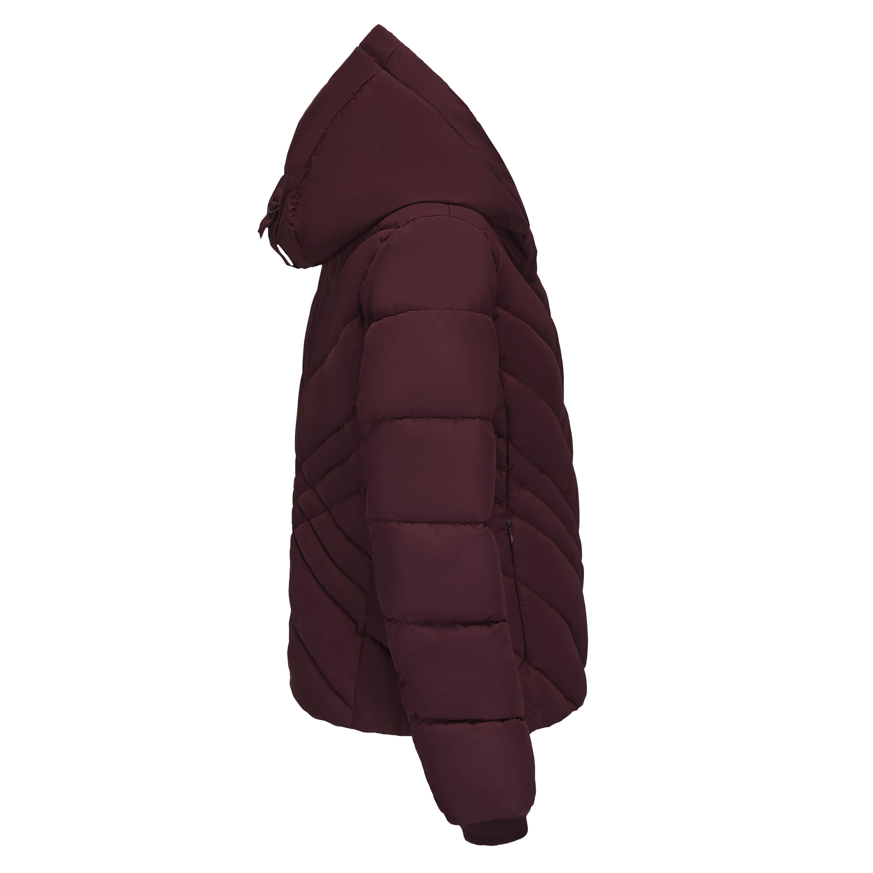 Elegant Slim Fit Padded Jacket