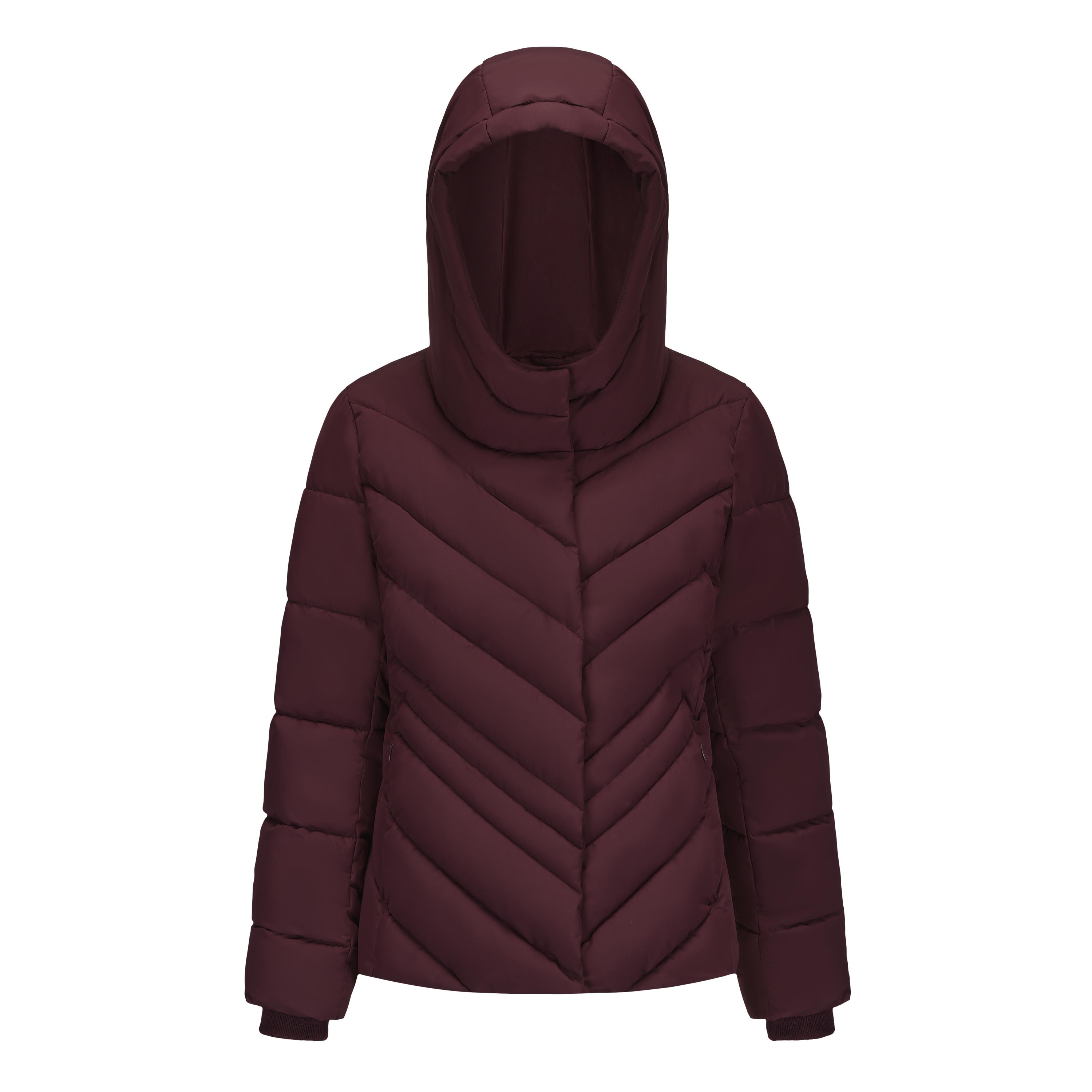 Elegant Slim Fit Padded Jacket