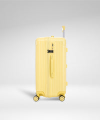Terminal Trunk - 26