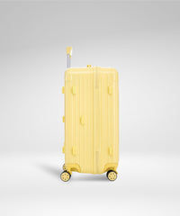 Terminal Trunk - 26