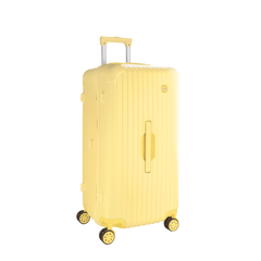 Terminal Trunk  24